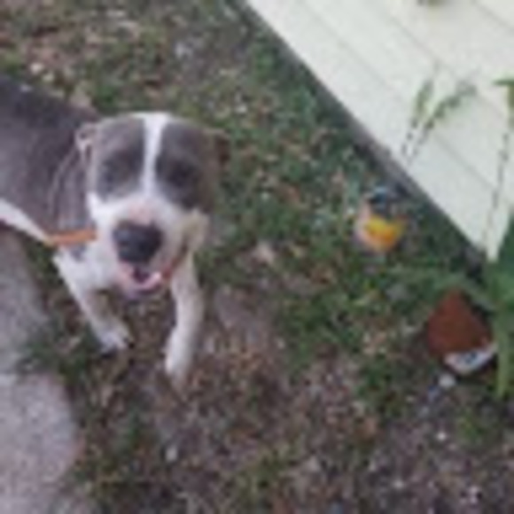 Meet your Posher, Alberto - Picture 1 of 1